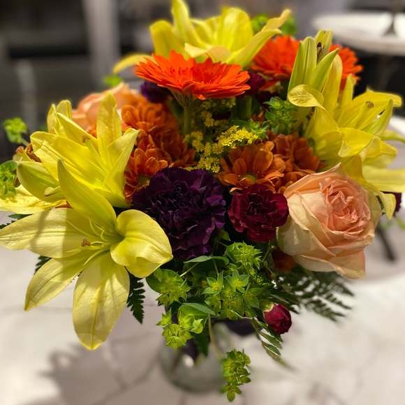 Meet your Posher, Loreyna - Picture 1 of 1